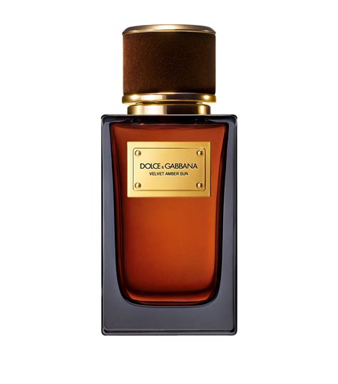 dolce gabbana velvet amber sun